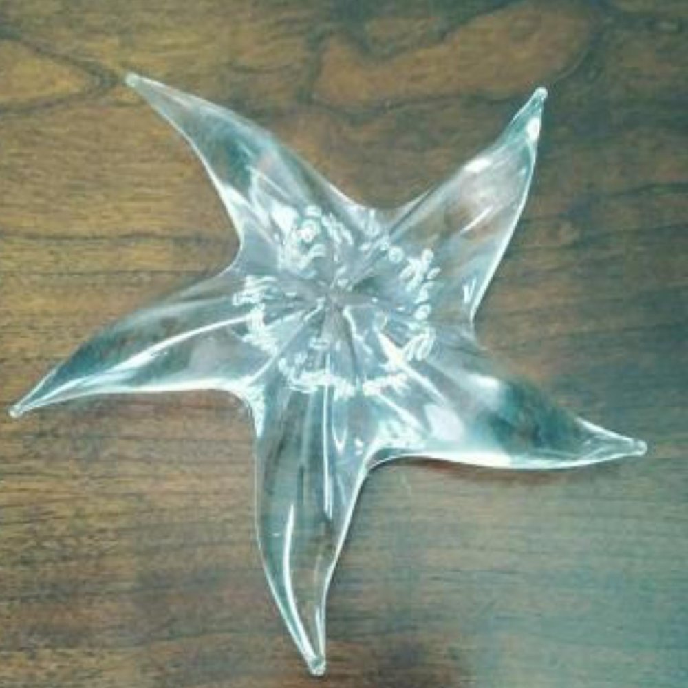 Glass Starfish